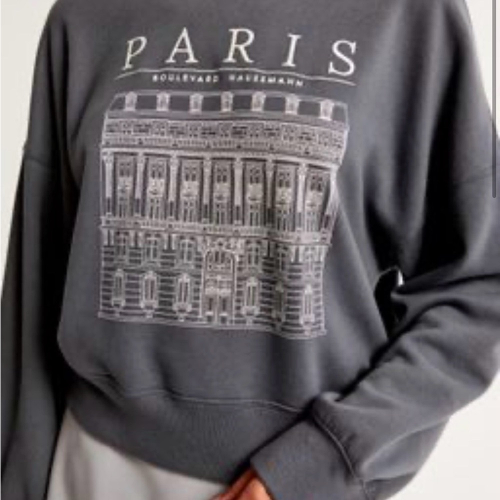 Abercrombie Gray Paris Graphic Sweater